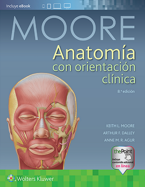 Anatomía con orientación clínica 8 ED Moore.