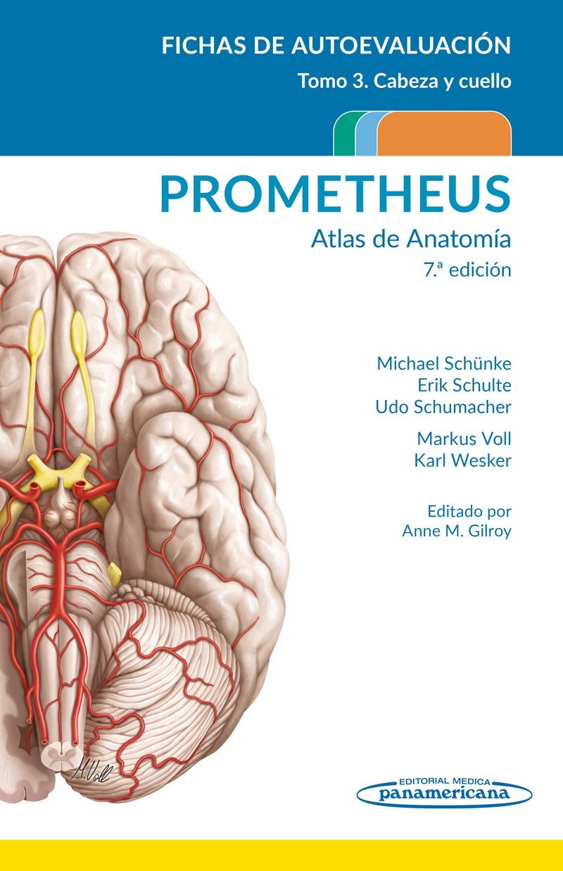 PROMETHEUS. Atlas de Anatomía. Fichas De Autoevaluación. Cabeza Y Cuello / 7 Ed. / Tomo 3