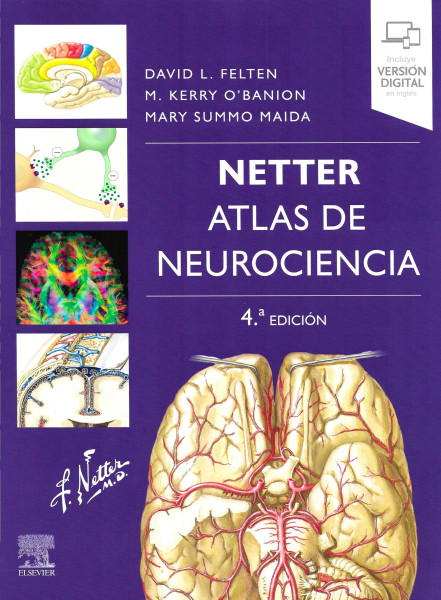 Netter. Atlas de neurociencia