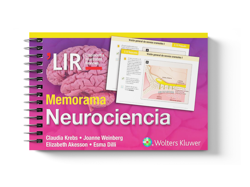 Memorama. Neurociencia