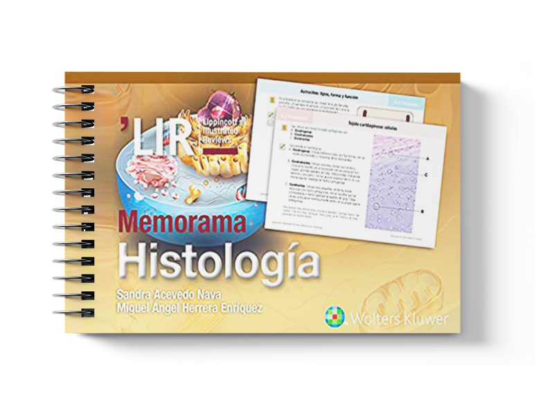  Memorama. Histología