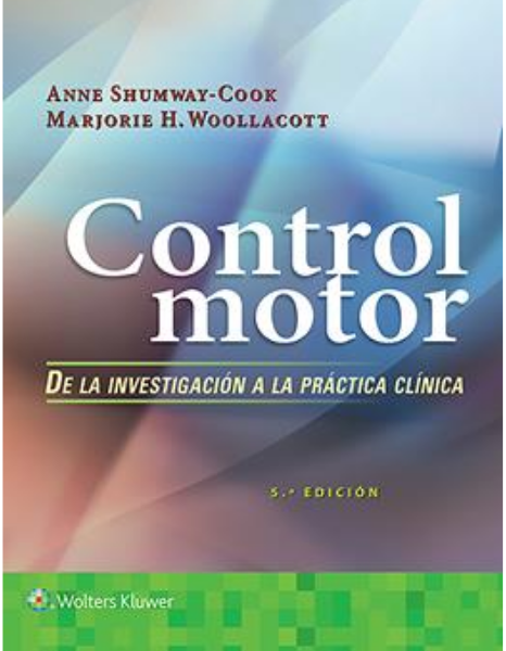 Control motor. De la investigación a la práctica clínica