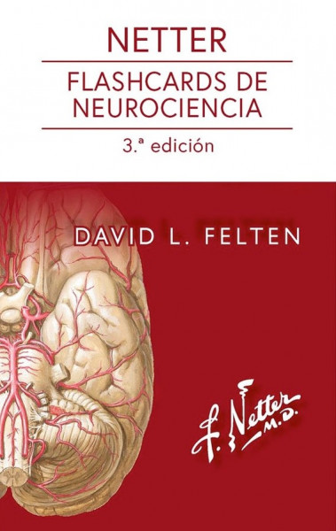 Netter. Flashcards de neurociencia