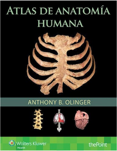 Atlas de anatomía humana