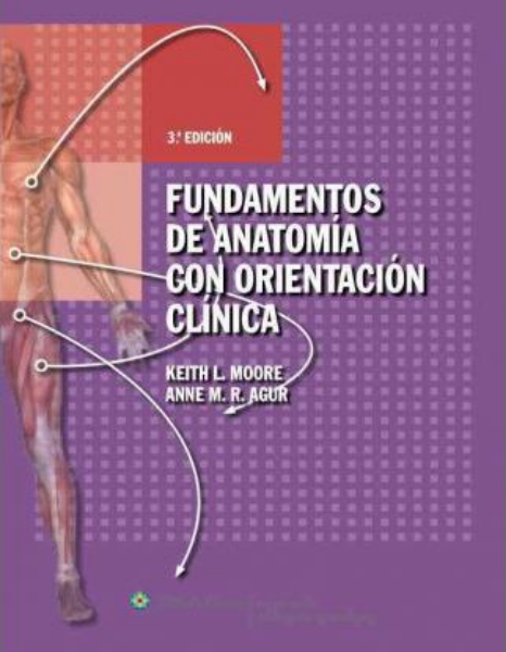 Fundamentos de anatomía con orientación clínica