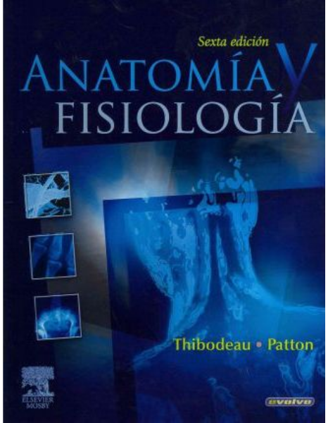 Anatomía y Fisiología 