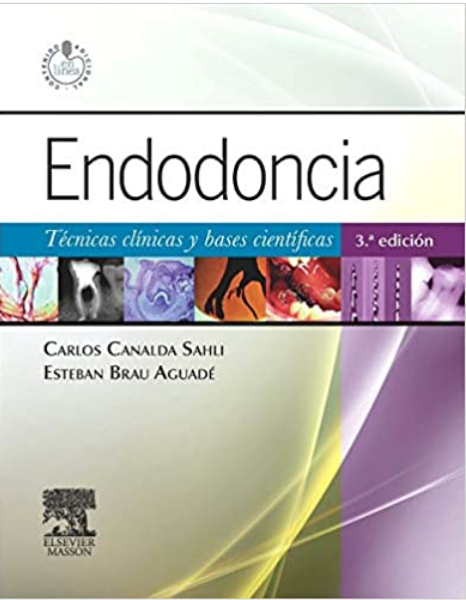 Endodoncia