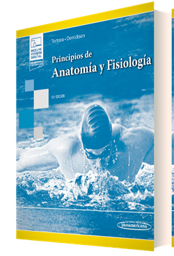 Principios de Anatomía y Fisiología