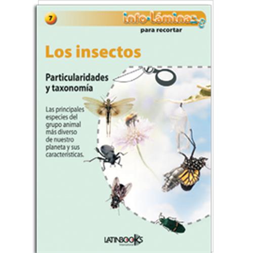 Los Insectos.